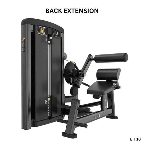 Back Extension