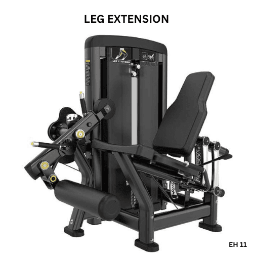 Leg Extension EH11
