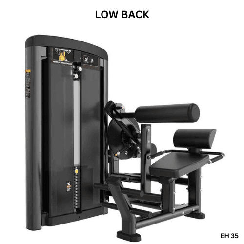 Abdominal Crunch/LowBack (EH35), Iron Strength – Powered by Emma Fitness