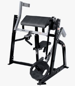 Seated Biceps (D006)