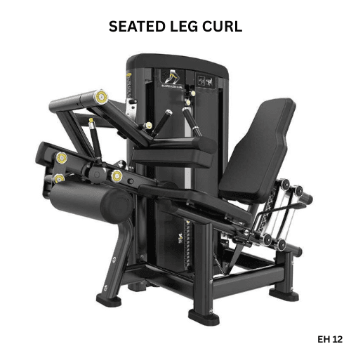 Seated Leg Curl EH12